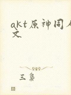 akt原神同人文封面