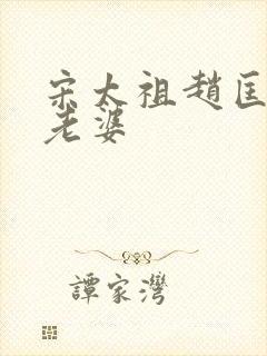 宋太祖赵匡胤的老婆