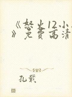 《怒火12小时》免费高清完整版封面