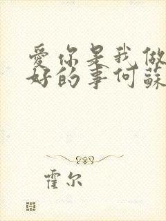 爱你是我做过最好的事何苏叶