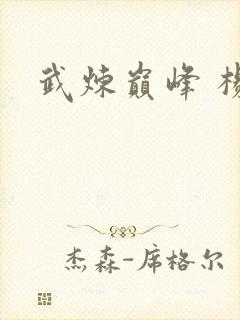 武炼巅峰 杨开封面