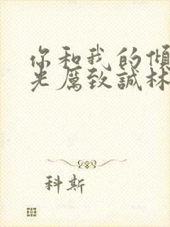 你和我的倾城时光厉致诚林浅