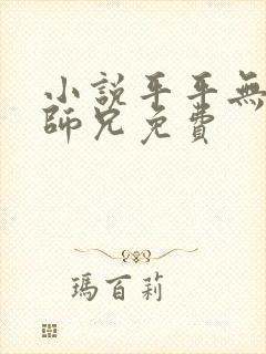 小说平平无奇大师兄免费