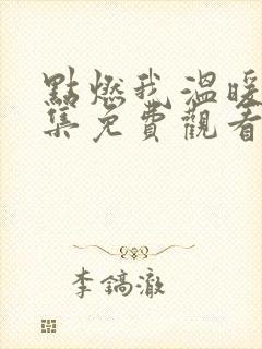 点燃我温暖你全集免费观看高清完整