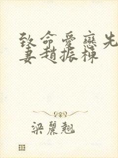 致命爱恋先生追妻赵振栋封面