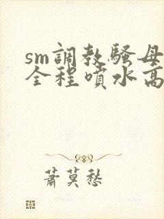 sm调教骚母狗全程喷水高潮