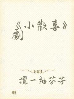 《小欢喜》电视剧