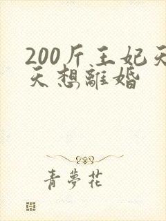 200斤王妃天天想离婚