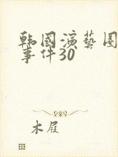 韩国演艺圈悲惨事件30