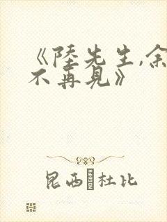 《陆先生,余生不再见》