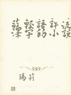 苏轻语许流年顾泽宇的小说