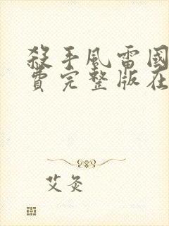 杀手风雷国语免费完整版在线观看