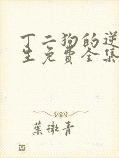 丁二狗的逆袭人生免费全集