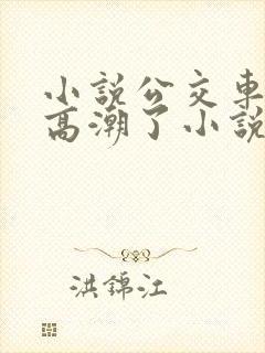 小说公交车被上高潮了小说封面