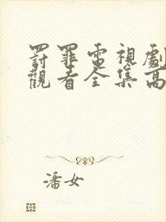 罚罪电视剧免费观看全集高清封面