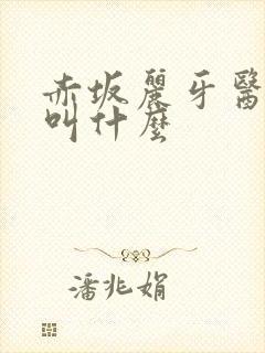 赤坂丽牙医电影叫什么