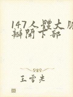 147人体大胆瓣开下部封面