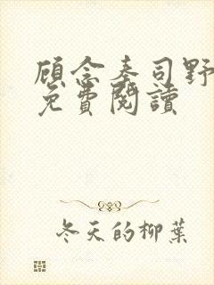 顾念秦司野小说免费阅读