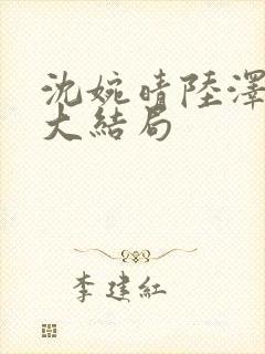 沈婉晴陆泽小说大结局封面