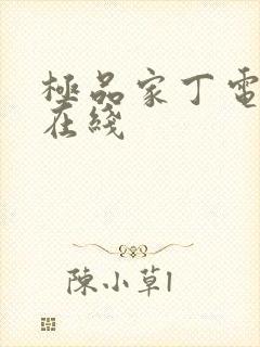 极品家丁电视剧在线