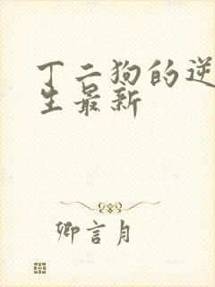 丁二狗的逆袭人生最新