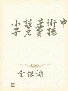 小说老街中的痞子免费听