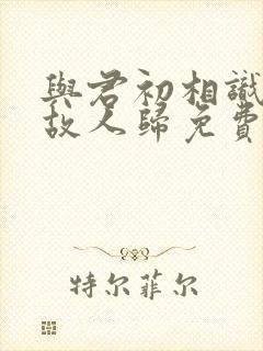 与君初相识犹如故人归免费在线观看