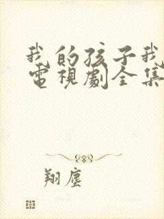 我的孩子我的家电视剧全集完整版封面
