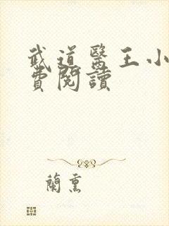 武道医王小说免费阅读