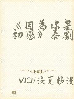 《因为你是我的初恋》泰剧在线观看