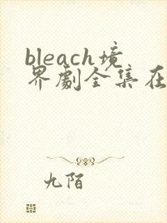 bleach境界剧全集在线观看免费版高清封面