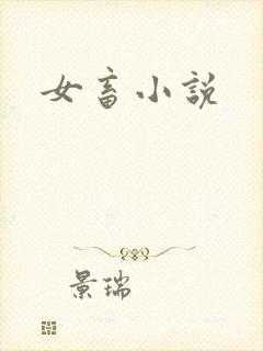 女畜小说封面