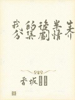 我的后半生剧情分集剧情介绍