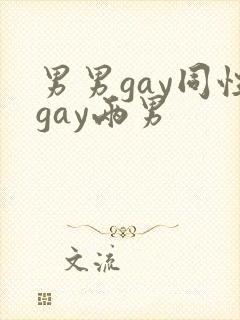 男男gay同性gay两男