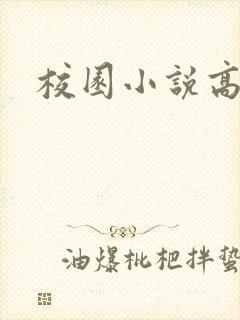 校园小说高h