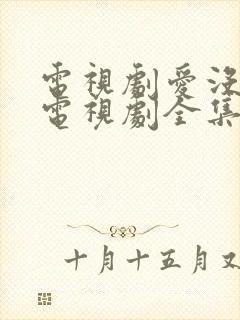 电视剧爱没有错电视剧全集免费观看