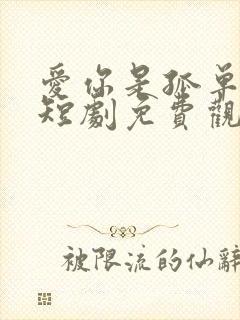 爱你是孤单心事短剧免费观看全集高清