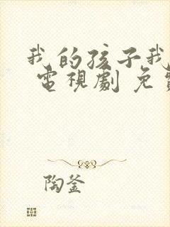 我的孩子我的家 电视剧 免费观看封面