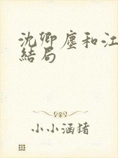 沈卿尘和江稚大结局封面