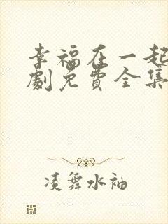 幸福在一起电视剧免费全集