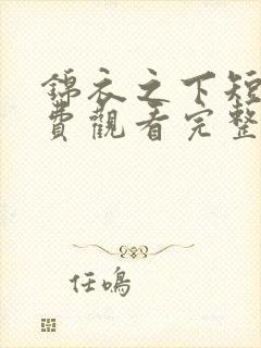 锦衣之下短剧免费观看完整版高清封面