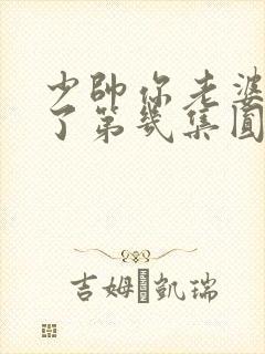 少帅你老婆又跑了第几集圆房