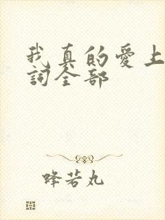 我真的爱上你歌词全部