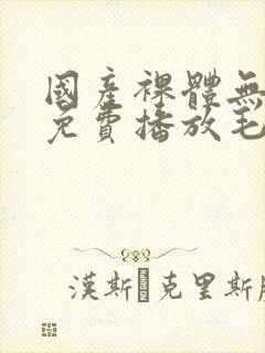 国产裸体无遮挡免费播放毛