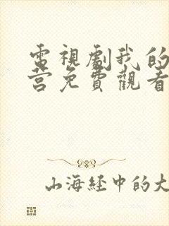 电视剧我的特一营免费观看封面