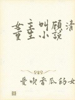 女主叫顾清欢的重生小说