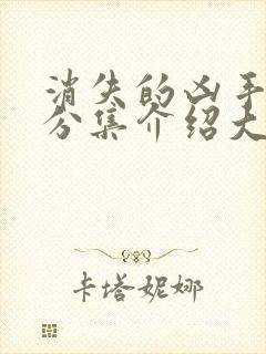 消失的凶手剧情分集介绍大结局封面