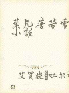 叶凡唐若雪医婿小说