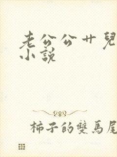 老公公艹儿媳妇小说封面