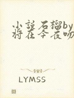 小说石榴by我将在今夜吻你免费阅读